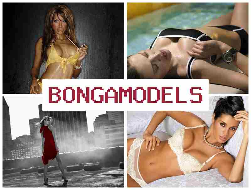BONGAMOFELS ᐉ Trusted Online Video Chat Work for Women and Men Alike