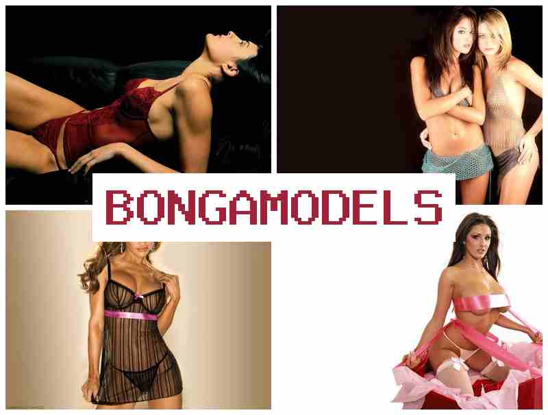 BONGA ODELS 💰 Modelo de internet desde casa con pago semanal con atención técnica las 24 horas