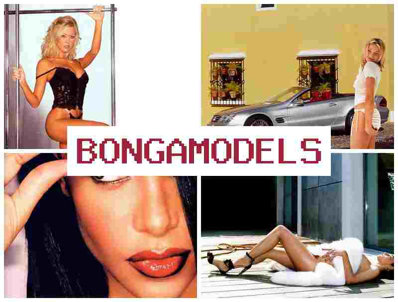 BONGA MODLES 💰 Empleo legal en videochat para principiantes con atención técnica constante