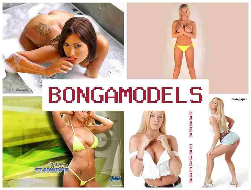 BONGAMPDELS 💑 Oportunidad legal y segura para principiantes sin complicaciones