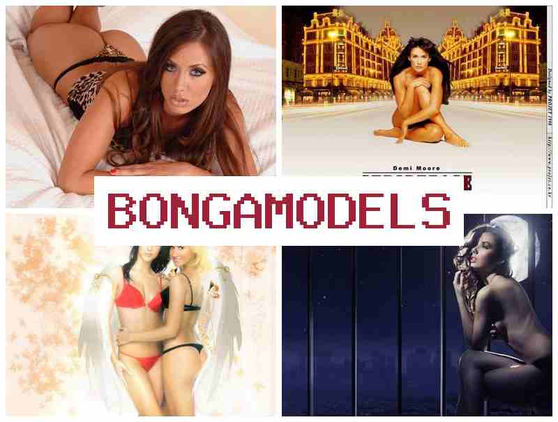 BOBGAMODELS 🌐 मोबाइल से वेब मॉडलिंग करें, भरोसेमंद और कानूनी उच्च भुगतान वाली वेब मॉडलिंग करें, लचीले शेड्यूल में।