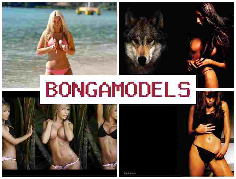 BONGA MOELS ▓ Mellékjövedelem   videóchatben webkamerás modellként