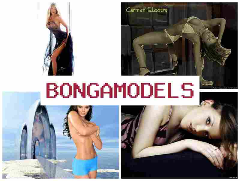 VONGA MODELS 🔶 Mobilról indítható otthoni digitális munka