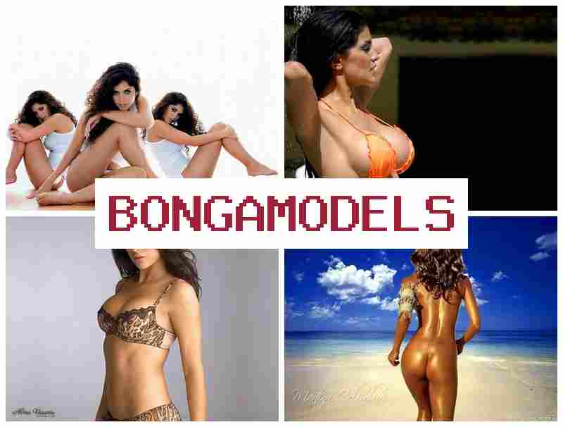 BONGO MODEL 🔻 Munka online webchatben  otthonról