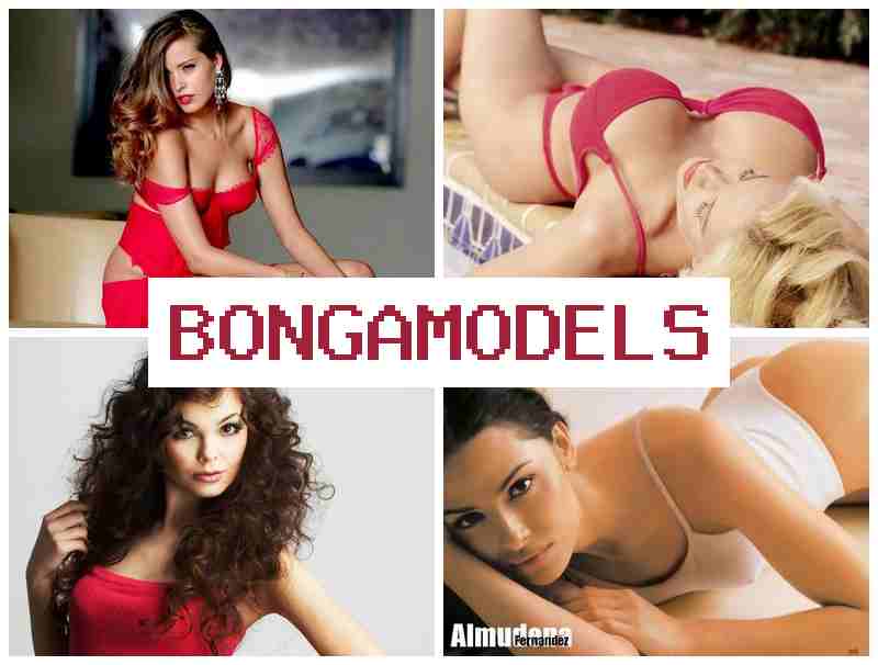 BONGAMDELS 💯 Kesempatan aman host obrolan video dari rumah