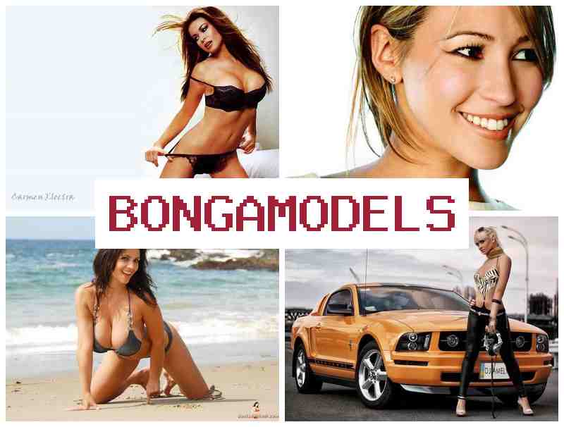 BPNGA MODELS 💑 Proses mudah untuk pemula sebagai penampil live streaming