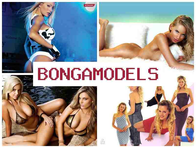 BONGA MPDELS 📺 Jadwal bebas sebagai talenta live chat