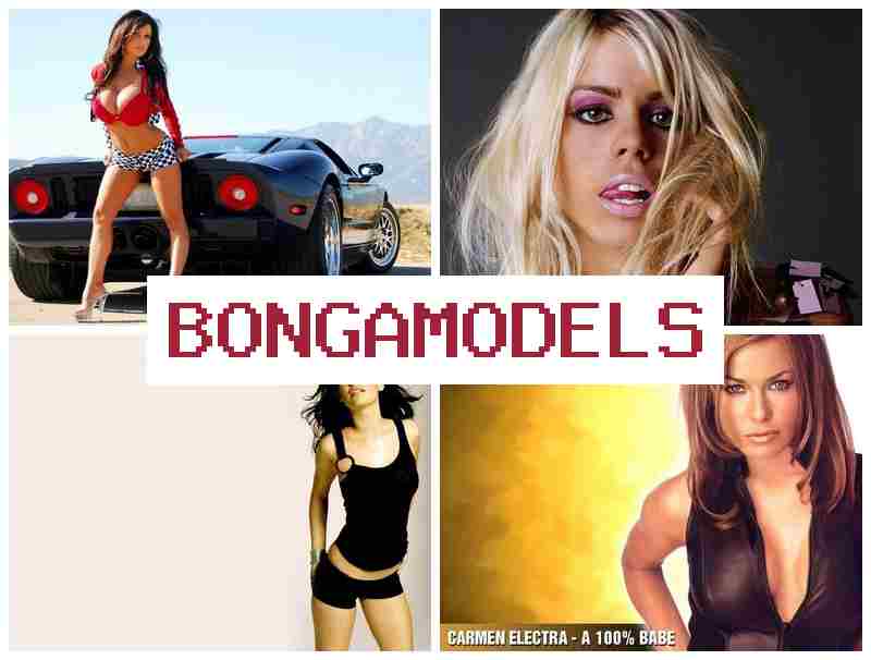 BONGA MORELS 📺 Gabung sebagai talenta live chat online, tanpa pengalaman