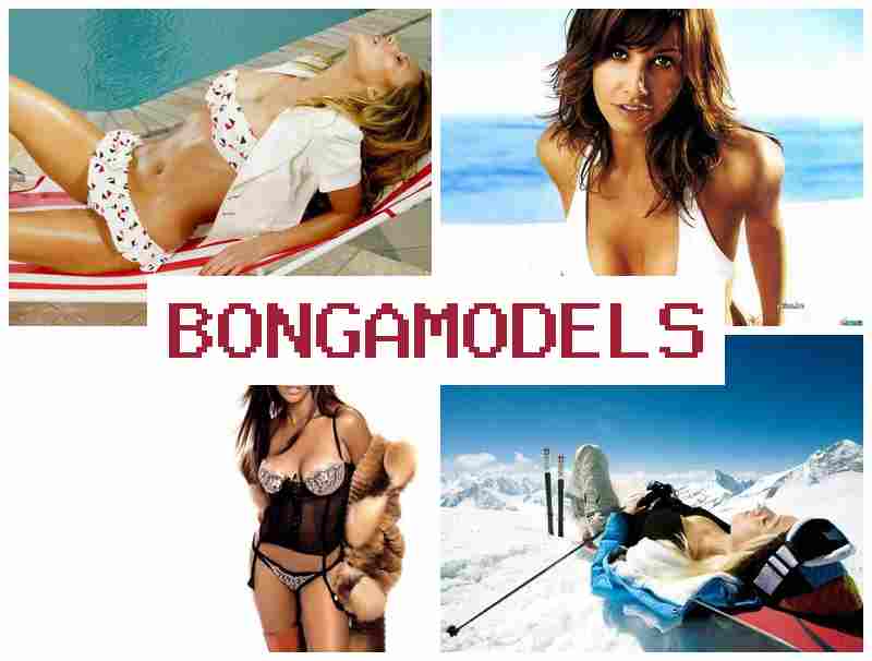 BONGA MODE;S ᐉ Profesi berbasis internet sebagai host siaran langsung