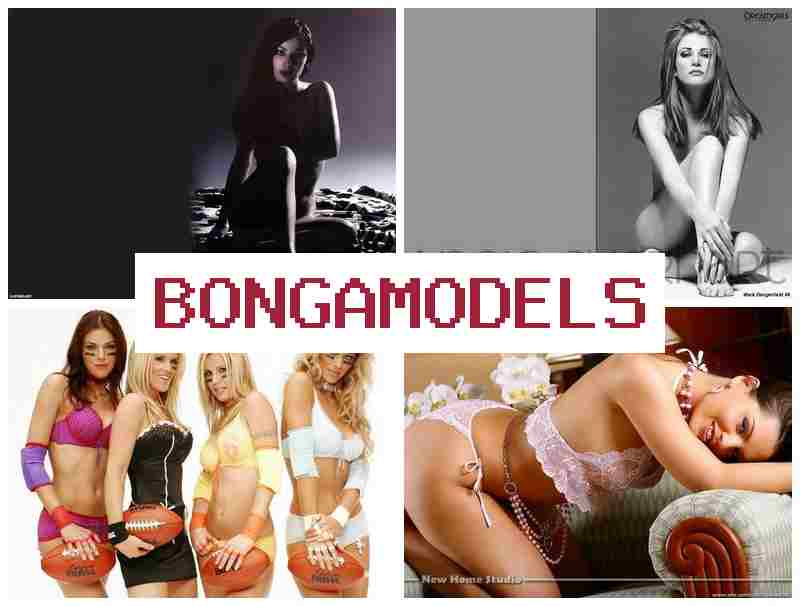 BONGA MODE.S ⭕ Kerja online legal sebagai talenta live chat