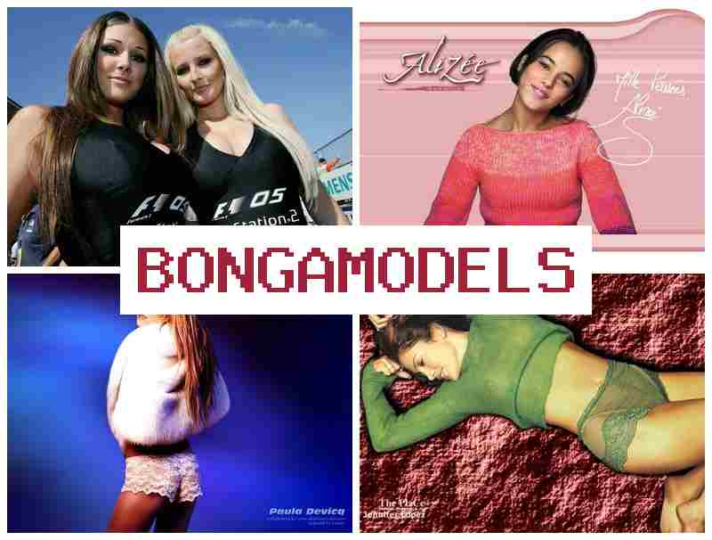 BNGAMODELS ⭕ Jadwal kerja bisa diatur di media siaran langsung