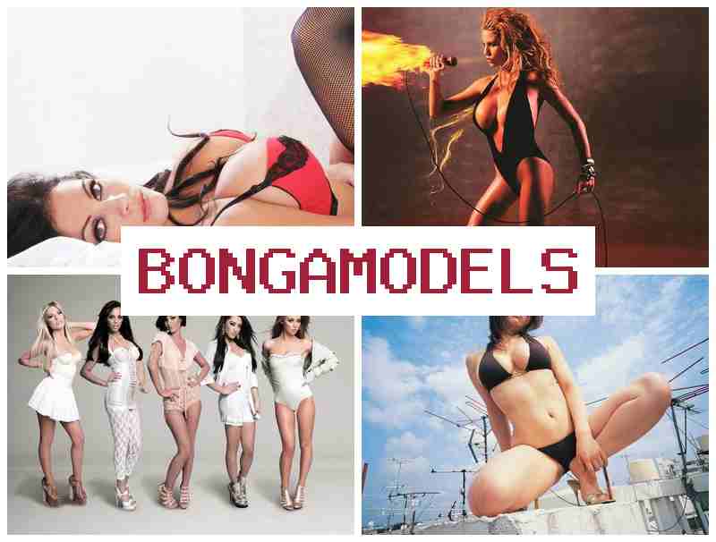 BONGAMODELD ⭕ Tidak perlu keahlian khusus, jadi pembawa acara online