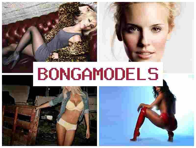 BONGA MODES 💑 Carriera sicura e flessibile online da casa con smartphone o PC realizzando il tuo reddito online