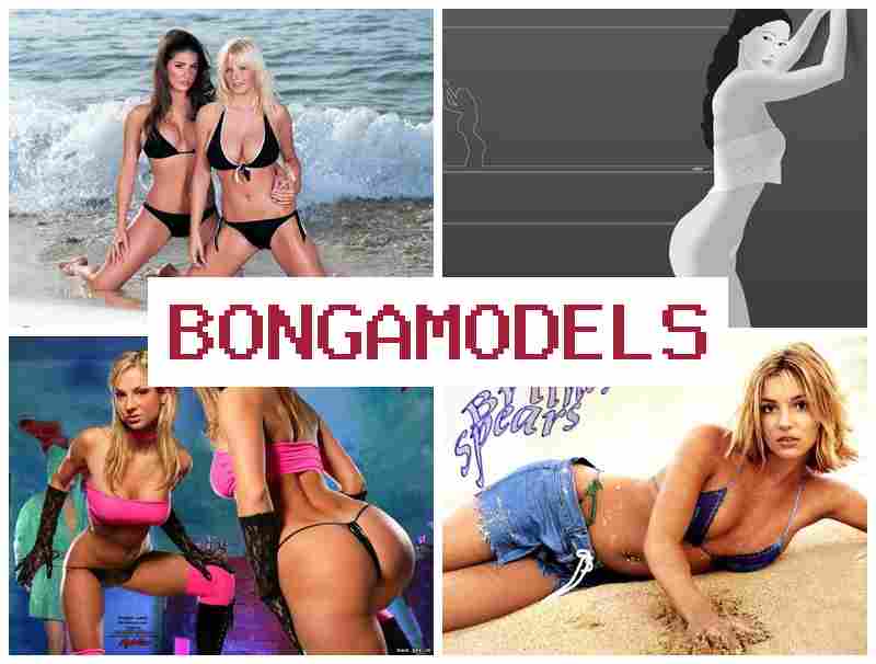 BONGA MOXELS 🔵 Guadagno tramite Internet in chat per donne e uomini in ambiente domestico