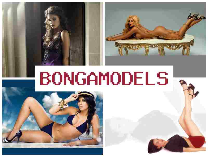 BONGA MODWLS 💏 Inizia il lavoro digitale redditizio da smartphone o PC guadagnando comodamente