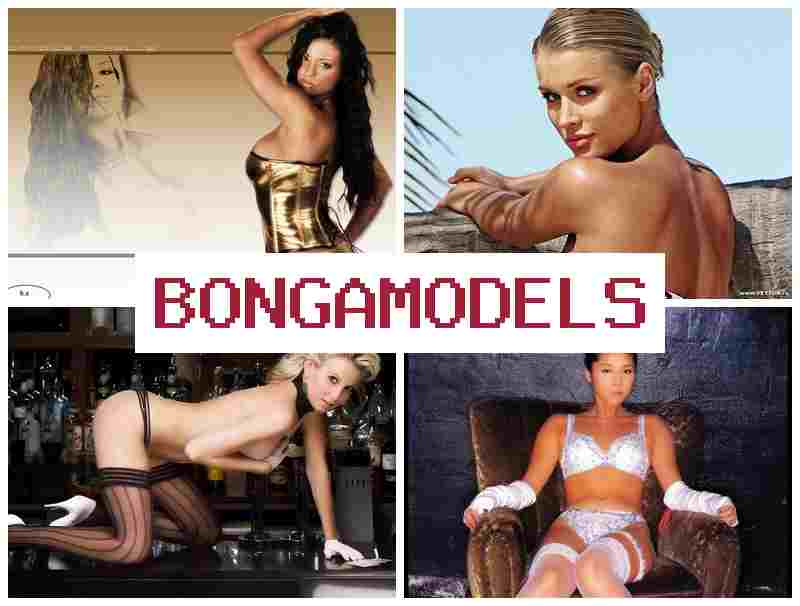 BONGAMOXELS ᐉ Diventa performer in videochat da smartphone o PC ottenendo reddito stabile