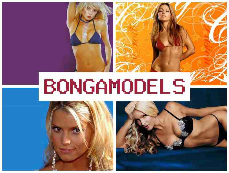 BONGAMODDLS ✔️ Scopri il lavoro redditizio da casa con supporto tecnico 24/7 in totale sicurezza legale