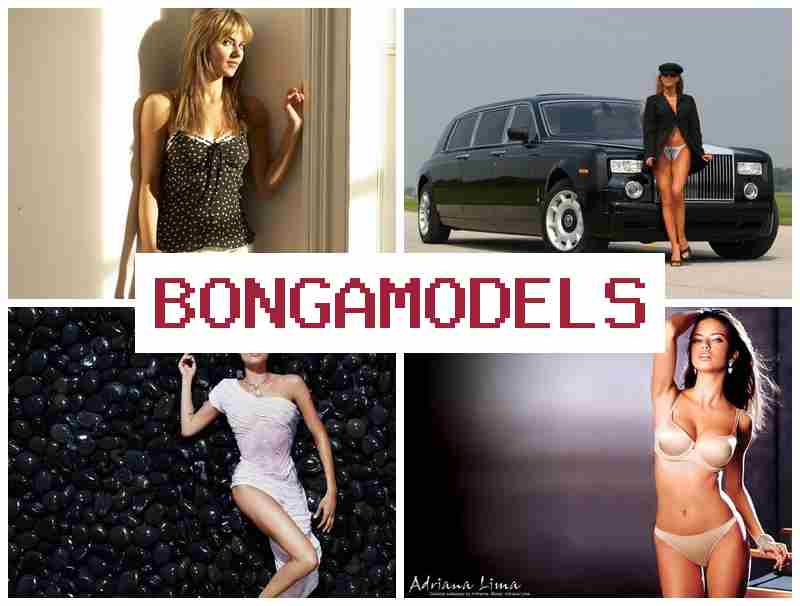 BONG MODELS 🆓 ការងារវេបម៉ូដែលអនឡាញ ប្រាក់ខែខ្ពស់ មានបច្ចេកទេសគាំទ្រត кругл វីដេអូតាមអនឡាញ24ម៉ោង ឱកាសល្អសម្រាប់អ្នកថ្មី