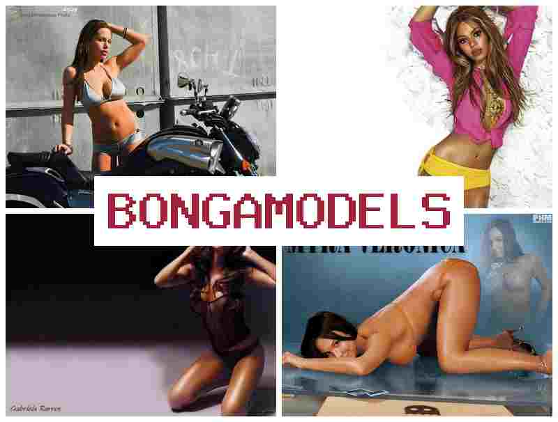 BONGA KODELS ⭕ ធ្វើការតាមវីដេអូពីផ្ទះដោយសេរីភាព ប្រាក់ចំណេញល្អ ធ្វើបានដោយមានគាំទ្រផ្នែកបច្ចេកទេស គាំទ្រតាមអនឡាញ ឱកាសល្អសម្រាប់អ្នកថ្មី