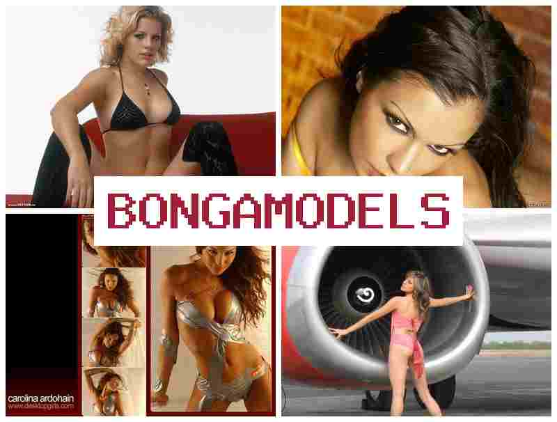 BONGA MOD4LS 🆗 ធ្វើការវីដេអូម៉ូដែលប្រកបដោយសេរីភាព ប្រាក់ចំណេញល្អ អាចធ្វើបានពីទូរស័ព្ទ វីដេអូប្រកបដោយសេរីភាព ចូលរួមដោយមិនបាច់មានបទពិសោធន៍