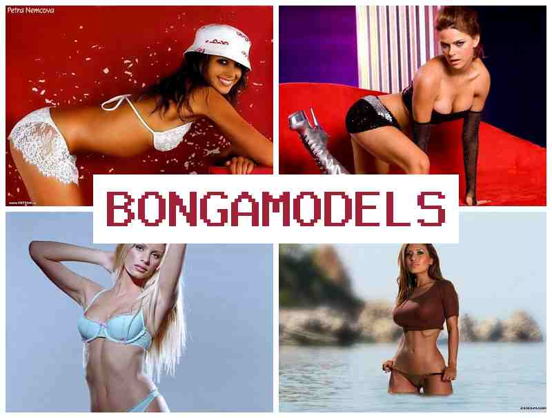 BONGOMODEL 🔻 ការងារវេបម៉ូដែលលើអ៊ីនធឺណិតប្រកបដោយប្រាក់ចំណូលល្អ ប្រាក់ចំណូលអនឡាញល្អ ធ្វើបានពីទូរស័ព្ទ វីដេអូអនឡាញប្រកបដោយសេរីភាព ចូលរួមដោយមិនបាច់មានបទពិសោធន៍