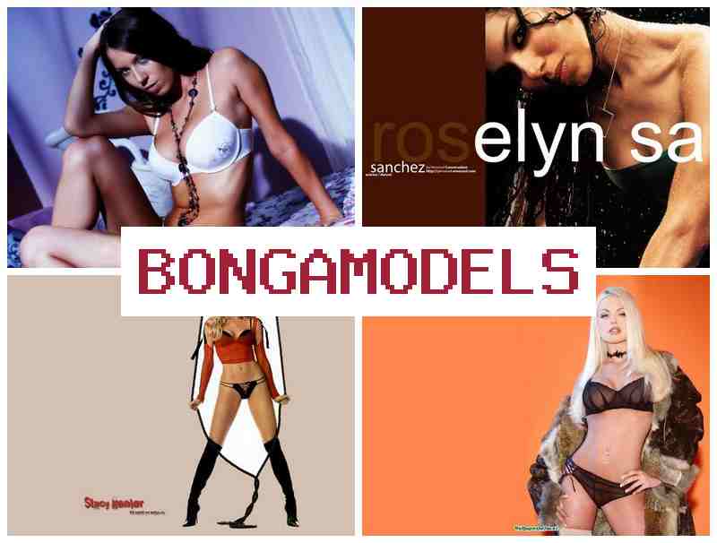 BONGAMOXELS 🆒 ការងារតាមអ៊ីនធឺណិតសម្រាប់ស្ត្រីនិងប្រុស ប្រាក់ខែខ្ពស់ ធ្វើការជាមួយកុំព្យូទ័រឬទូរស័ព្ទ ការងារតាមវីដេអូប្រកបដោយសេរីភាព ឱកាសល្អសម្រាប់អ្នកថ្មី