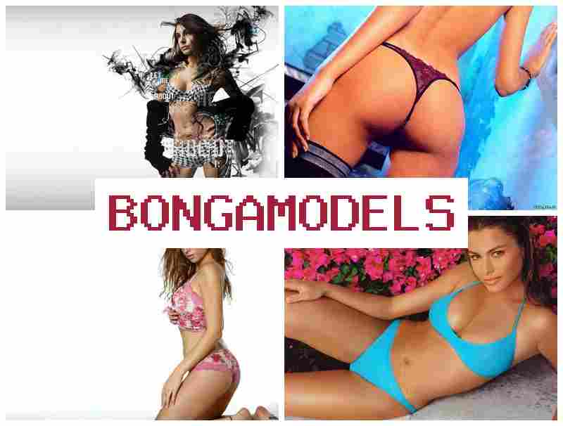 HONGA MODELS 💻 온라인으로 간단히 시작 가능한 인터넷 모델 경험, 주급 지급