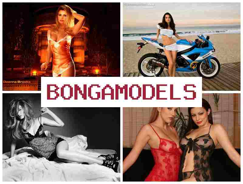 BINGA MODELS ᐉ 초보자도 쉽게 웹캠 수익 활동, 유연한 근무