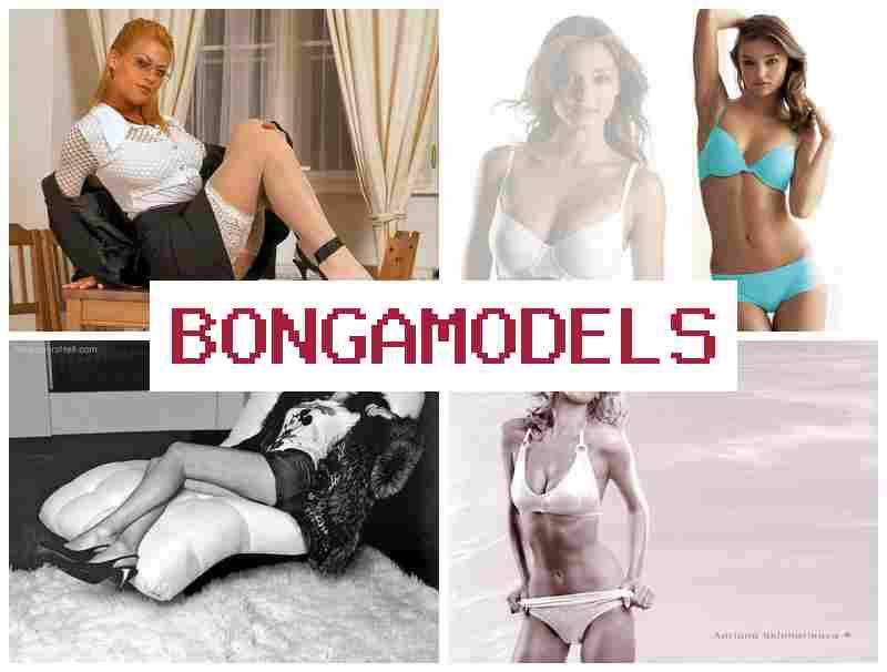 BONGQ MODELS 🆓 초보자 환영 영상 채팅 직업, 높은 수익