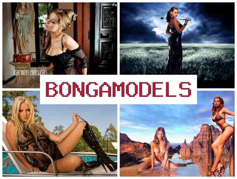 BONGA KODELS 💷 온라인에서 편리하게 수익 내는 인터넷 모델 활동, 초보자 환영