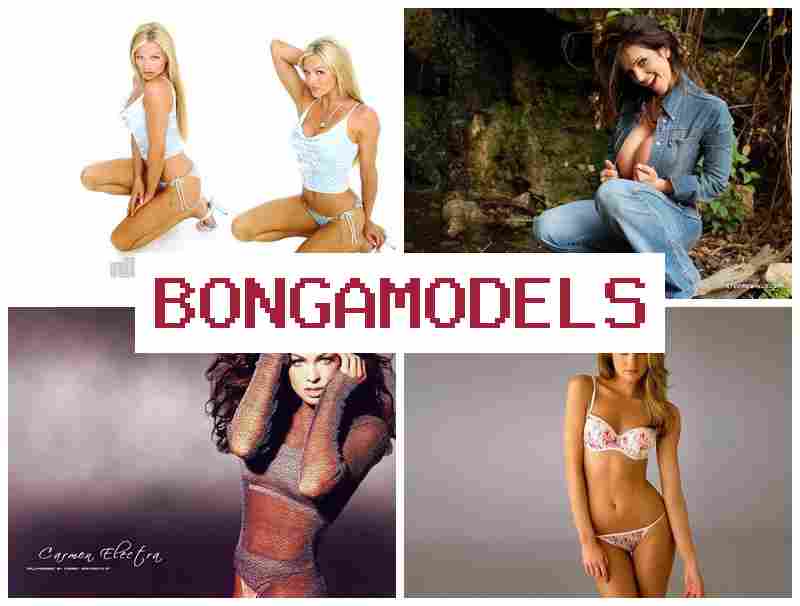 BONGA MIDELS 💴 초보자도 가능 재택 웹 모델 일, 높은 수익률 제공