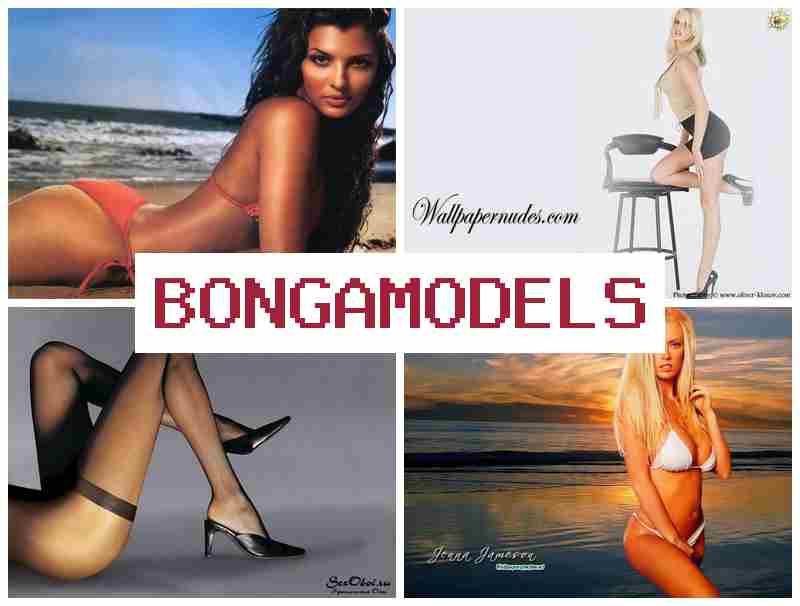 BONGA MOD4LS 🎇 휴대폰으로 쉽게 참여하는 웹캠 모델 업무, 초보자 환영