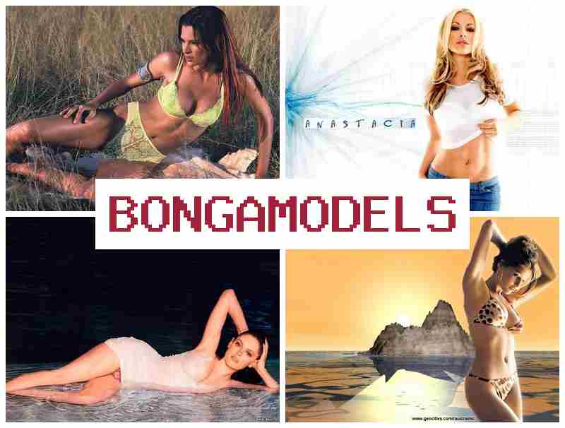 BONGA MODDLS 🆒 편안한 환경에서 인터넷 모델 활동하기, 높은 보수