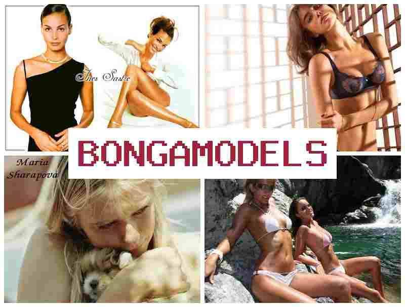 BONGA MODEPS 💯 휴대폰으로 쉽게 참여하는 영상 채팅 수익 활동, 높은 보수