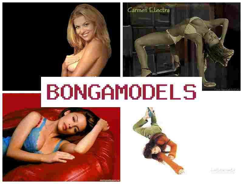 BONGA MODE;S 💸 자택에서 손쉽게 웹 모델 활동, 24시간 지원