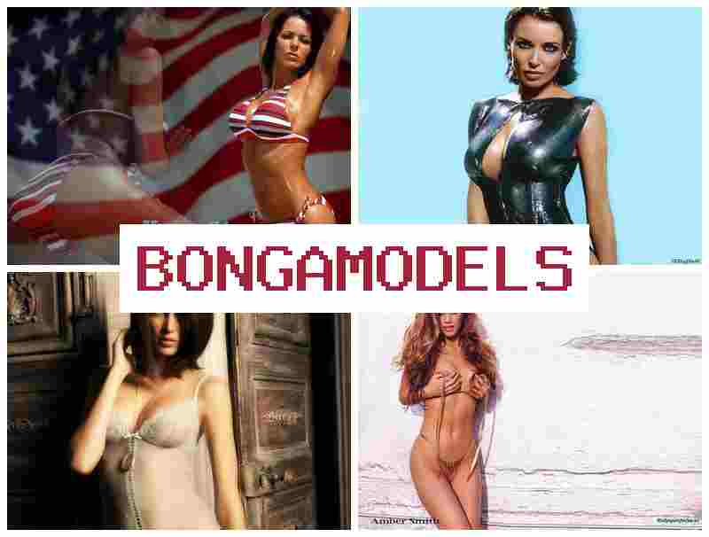 BONGA MODELD ▓ 편안하게 일하는 인터넷 모델 경험, 경험 필요 없음