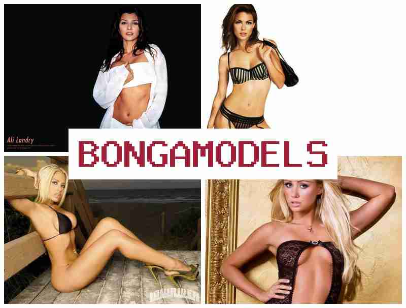 BONGGAMODELS ᐉ 집에서 자유롭게 모델링 하는 웹캠 수익 활동, 24시간 지원