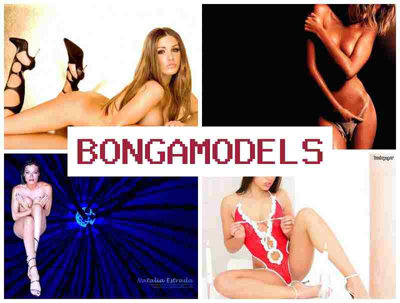 BONGAMDOELS 😍 편리하게 집에서 하는 홈 기반 웹 모델 업무, 경험 필요 없음