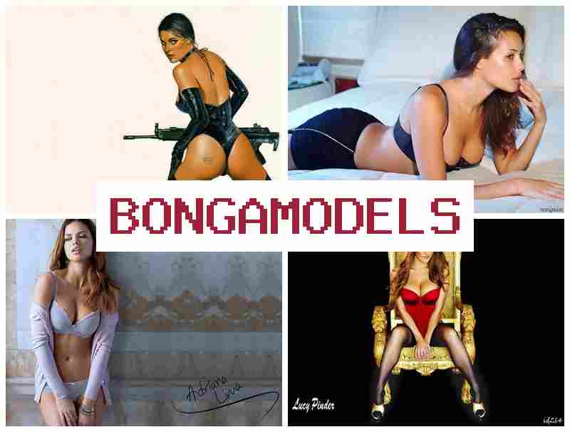 HONGAMODELS 🎇 휴대폰으로 손쉽게 참여 인터넷 모델 업무, 유연한 근무