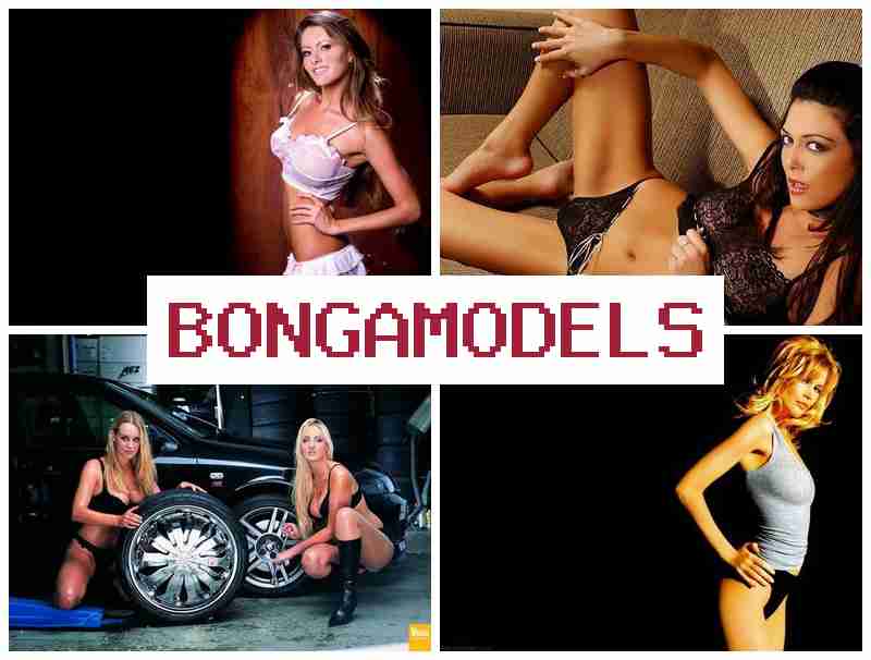 BONGO MODEL █ 재택근무로 간편하게 시작하는 웹캠 수익 활동, 24시간 지원