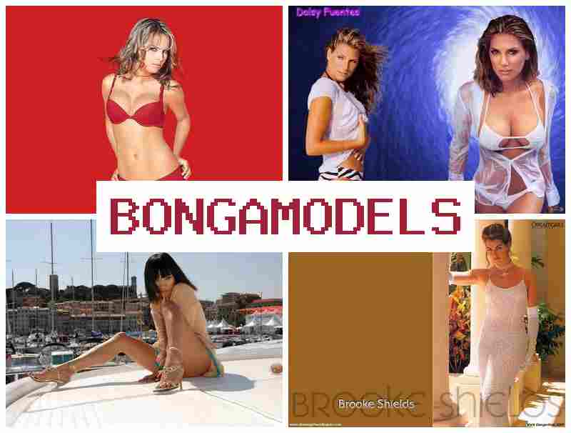 BONGAMOCELS 💏 초보자도 부담 없이 참여 웹 모델 직업, 경험 필요 없음