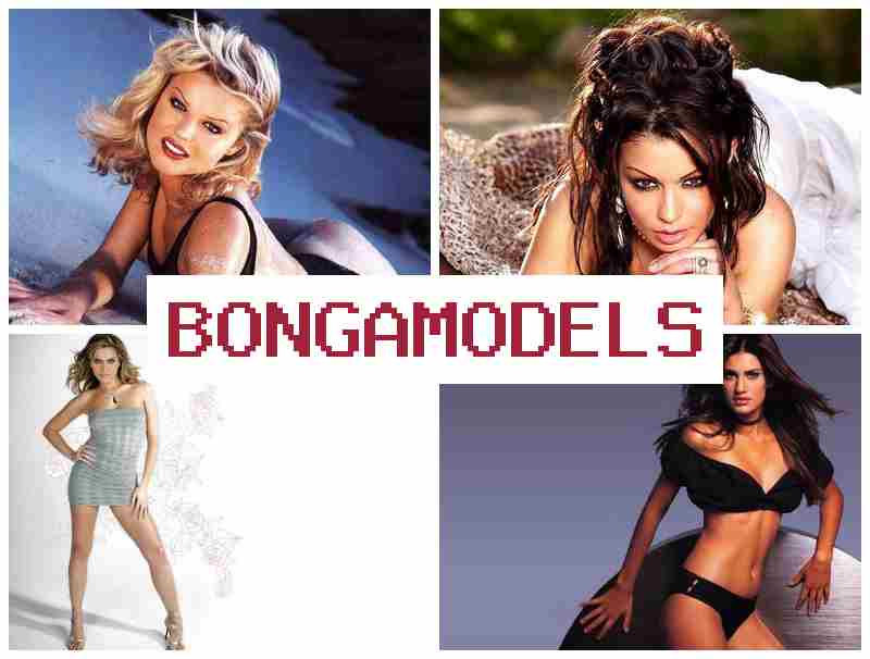 BONGAMODDLS 🆓 온라인에서 간단히 시작하는 웹 모델링 활동, 24시간 지원