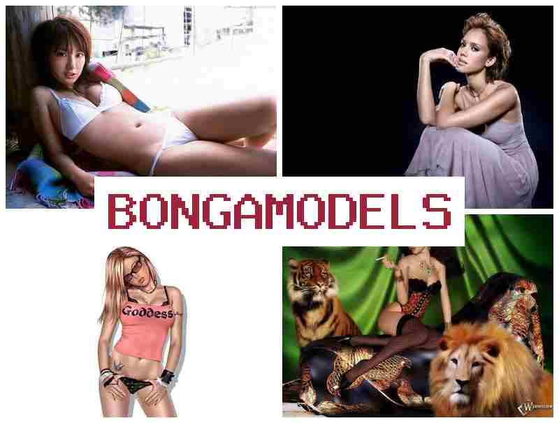 BONGAMODSLS 🔴 누구나 시작할 수 있는 인터넷 모델 직업, 24시간 도움