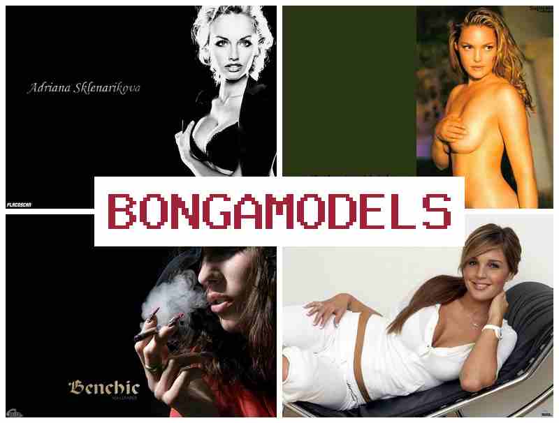 BONGAMODELX 🎇 모바일로 쉽게 가능한 영상 채팅 모델 업무, 높은 보수