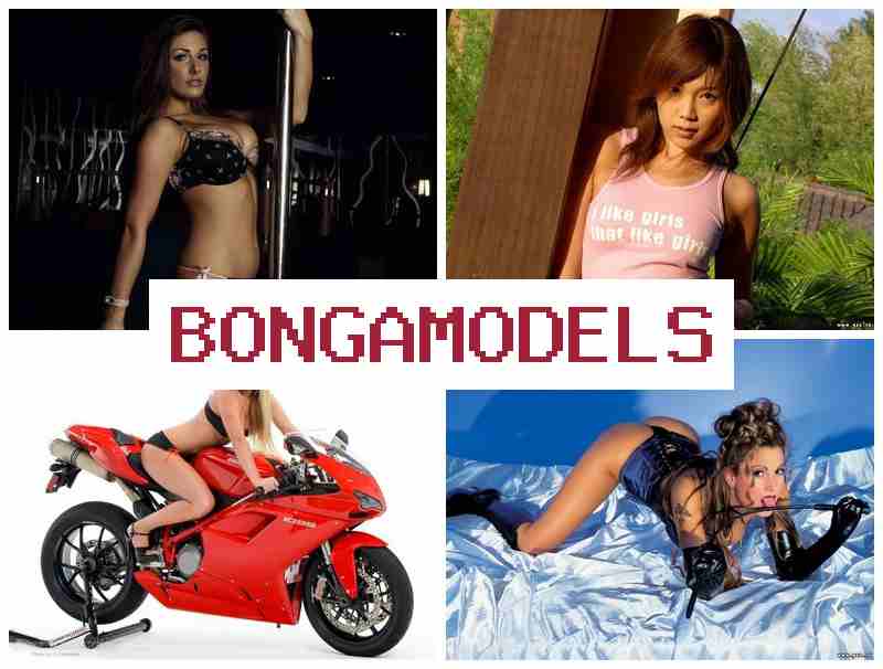 BONGAMODRLS ▒ सुलभ घरकामातून उच्च उत्पन्न मिळवा साप्ताहिक वेतनासह ऑनलाइन नोकरी नवीन मॉडेल्ससाठी मार्गदर्शन घरबसून सुरक्षित काम २४/७ सहाय्य व लवचिक वेळापत्रक