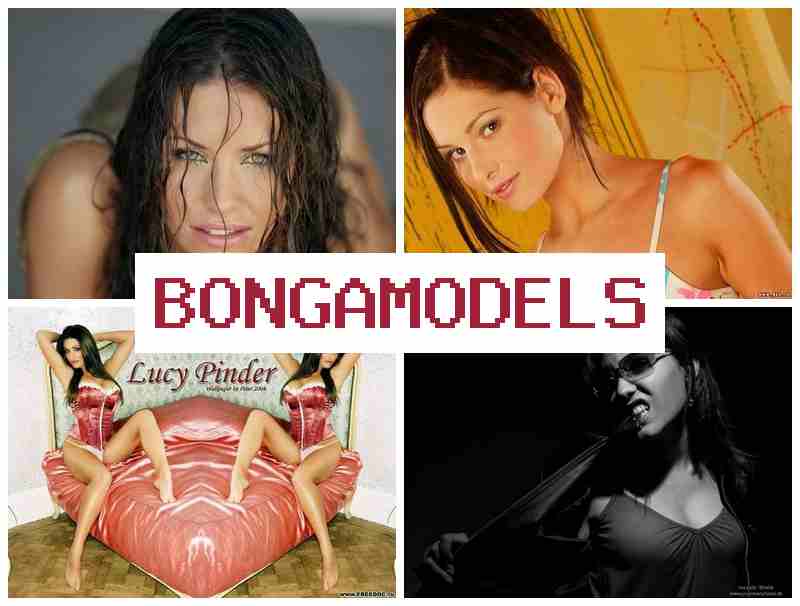 BONGA MORELS 💷 Word zelfstandig en flexibel als thuiswerk model met 24/7 ondersteuning