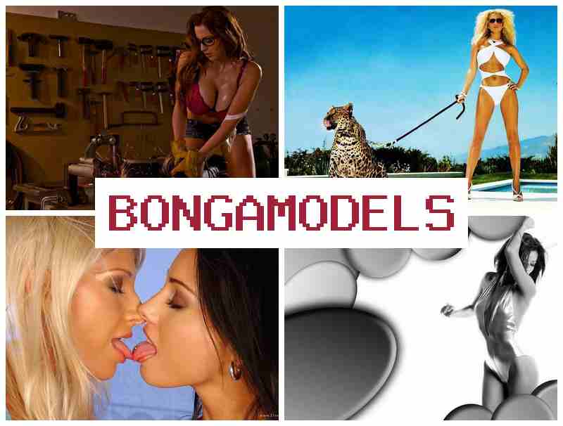 BONGO MODELS 💲 Start je werkdag als webcammodel flexibel en legaal