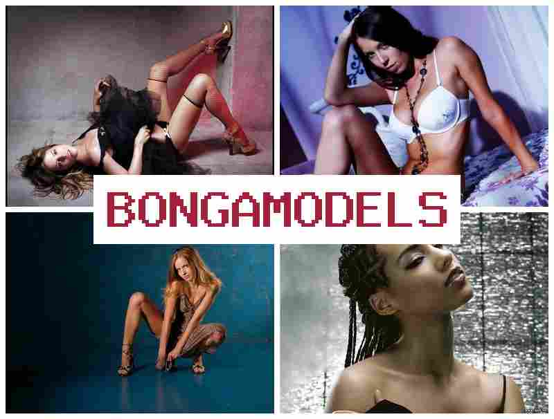 BONGAMPDELS 💯 Internetowa praca wideo dla kobiet i mężczyzn – praca z telefonu z całodobowym wsparciem