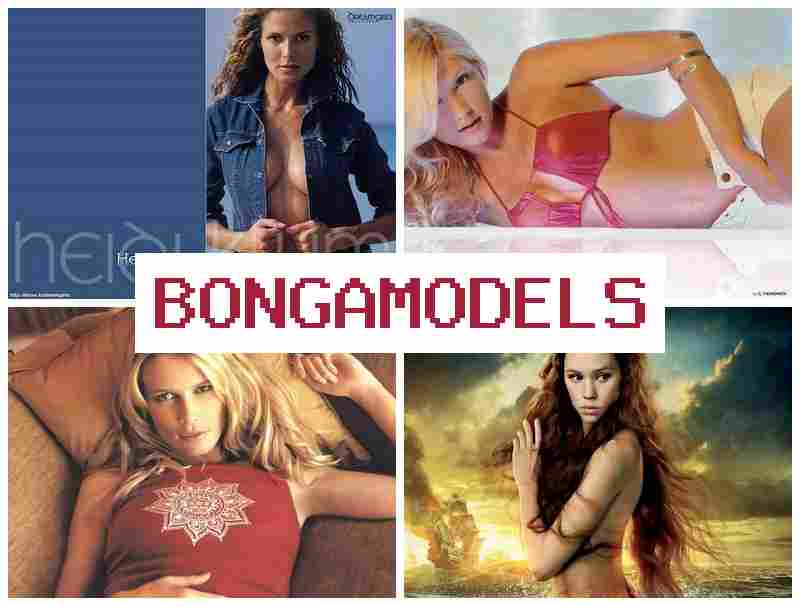 BONGAMORELS ✔️ Dołącz do pracy zdalnej w internecie – praca przez telefon w wygodnych warunkach