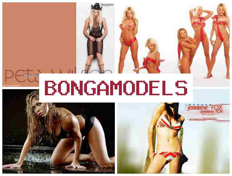 BONGA MODLES 🔷 Internetpi modelo llamk'ay wasipi, mana experiencia munachu